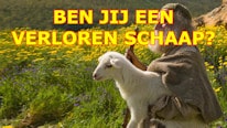 Onderzoek jezelf of je een verloren schaap bent